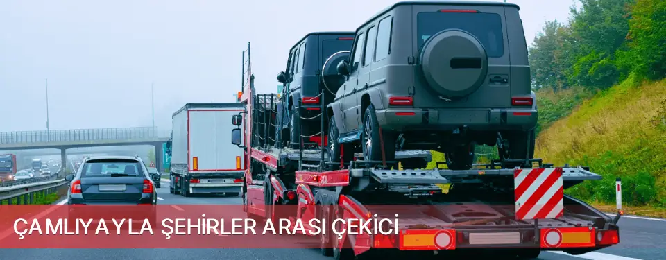 Çamlıyayla İlçemi Şehirler Arası Çekici