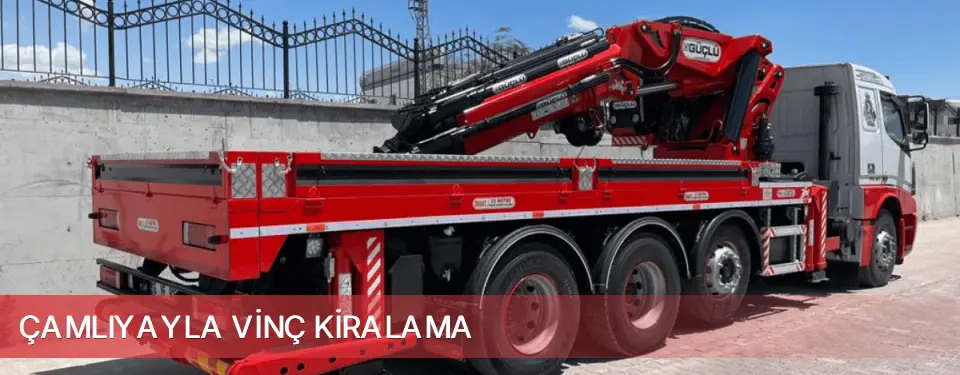 Çamlıyayla İlçemi Vinç Kiralama